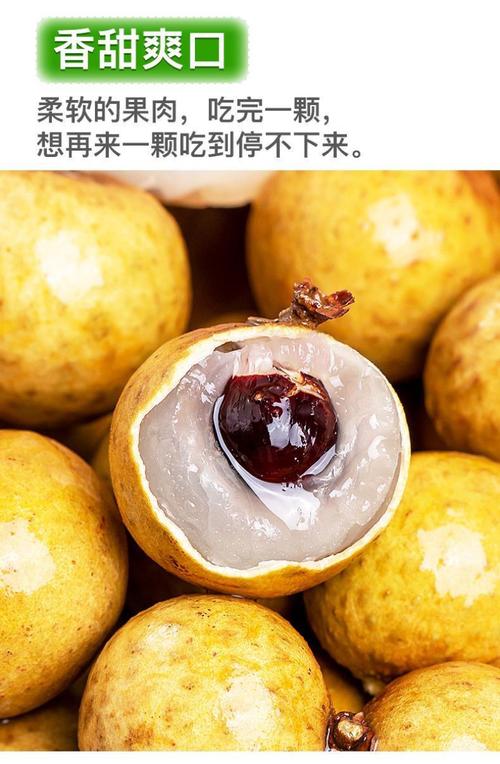 龙眼 南国珍果的千年甜蜜